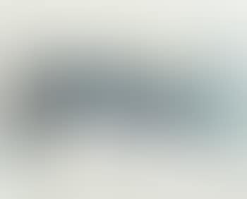 Mythical Animals (preview)