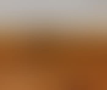 Landscape (preview)