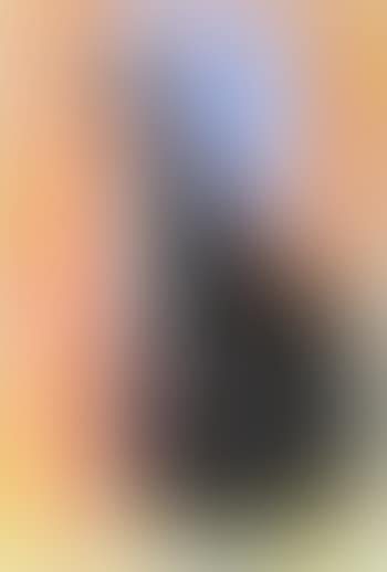 Seated Cat (preview)