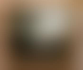 Landscape (preview)