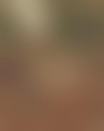 Farmyard (preview)