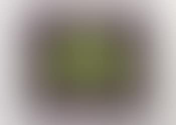 Green S I (preview)