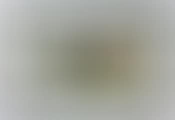 Abstract (preview)
