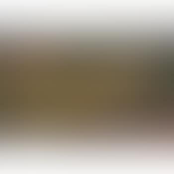 Paysage (preview)