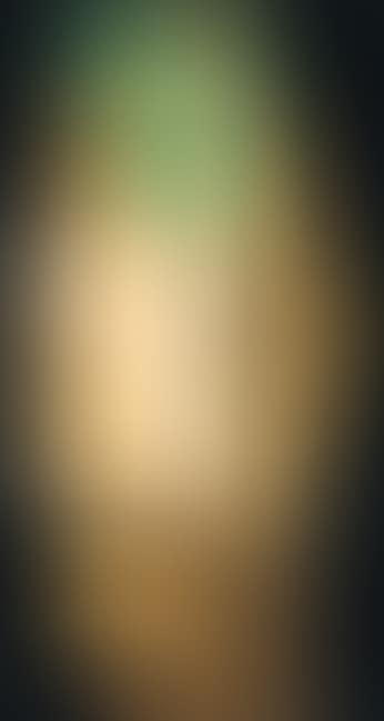 Composition (preview)