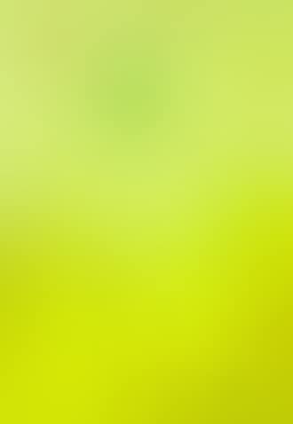 Fugl blomster sol (Bird flowers sun) (preview)