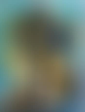 Figura (preview)