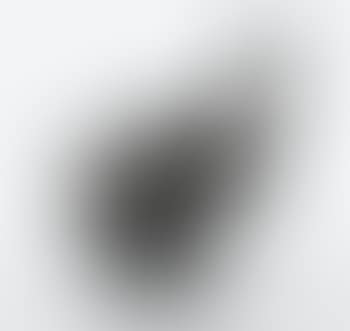 Une oie (preview)
