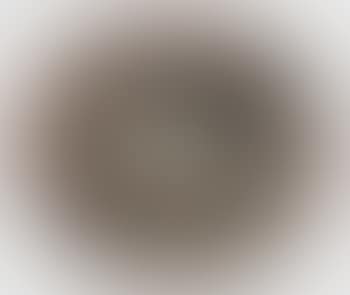 Colombe mate plat rectangulaire (preview)