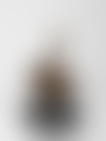 Mujer desnuda subiendo la escalera / Hommage to Marcel Duchamp (preview)