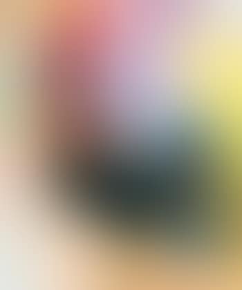 Rooster (preview)