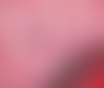 Cherry blossom (preview)