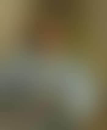 Bildnis einer jungen Dame (preview)