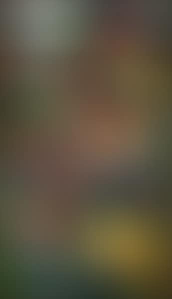 Ohne Titel (preview)