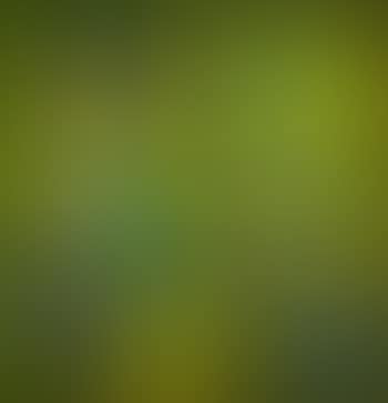 Ohne Titel (preview)