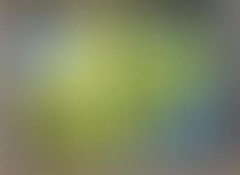 Composition (preview)