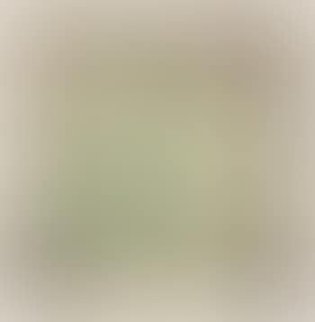 The scenery with sunlight (preview)