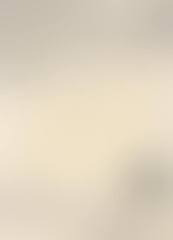 Egret (preview)