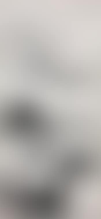 Landscape (preview)