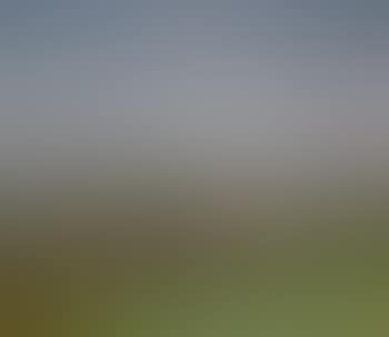 Untitled (Village along a hillside) (preview)