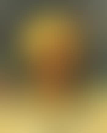 Portrait of a woman with yellow head wrap (preview)