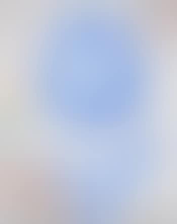 Blue Tulip (preview)