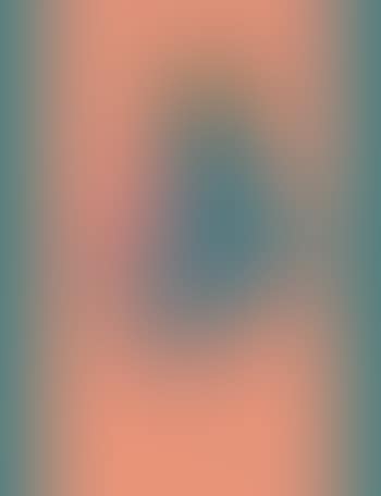 Vase ,
2003 (preview)