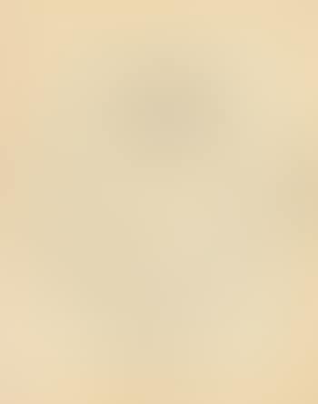 Recto/verso: Untitled (preview)