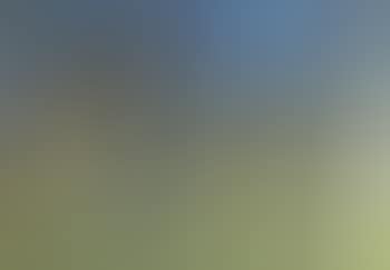 Untitled (Landscape) (preview)