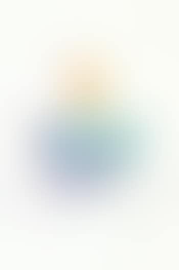 Commitee 2000 (preview)