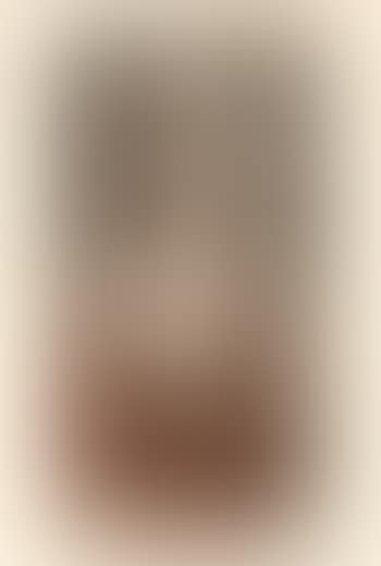Birgitte III (preview)