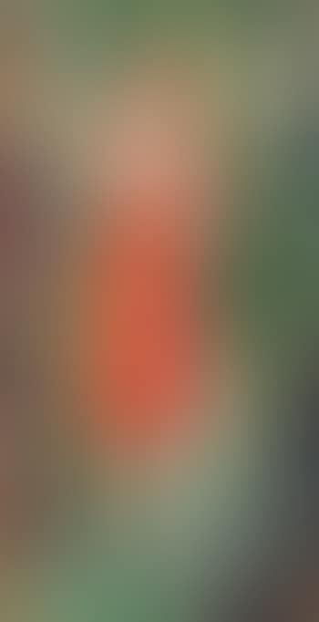 Woman in a Red Dress (preview)