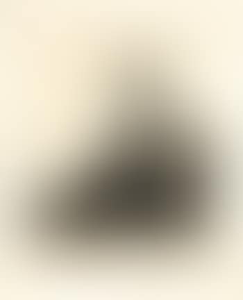 Jan Asselijn, peintre (preview)