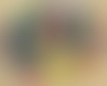 Paysage (preview)