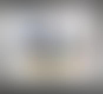 Le Peintre et son Modele (preview)