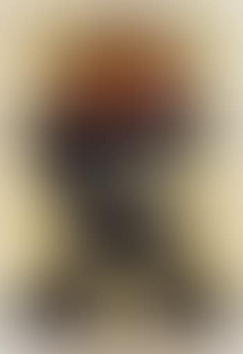 Toulouse Lautrec (preview)