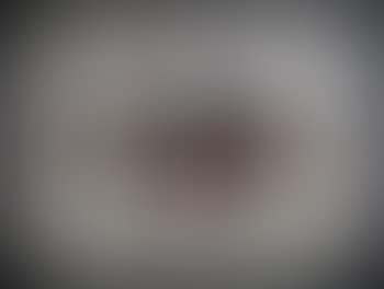 Lithograph X (preview)