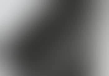 P20-1983-H23 (preview)