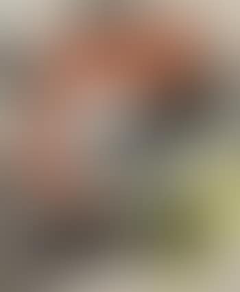 Opus 87F (preview)