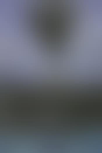 Oriental Landscape (preview)