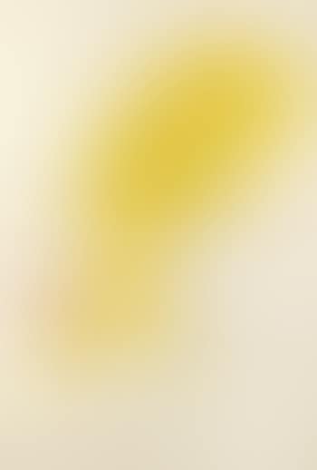 Untitled, From Als Mestres De Catalunya (preview)