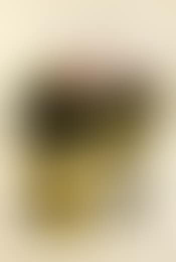 Untitled, From Als Mestres De Catalunya (preview)