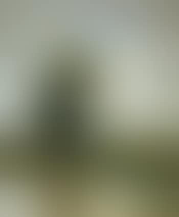 Flusslandschaft (preview)
