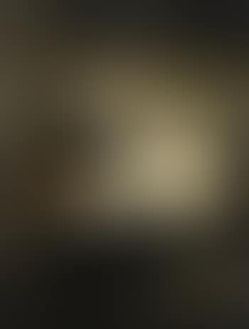 Interior with the lady at the piano (preview)