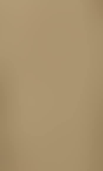 Le fauconnier (preview)
