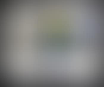Heland Thorden Gallery (preview)