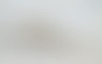 Ohne Titel (preview)