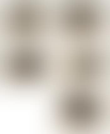 Erinnerungen (preview)