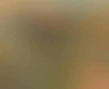 Southern France (preview)