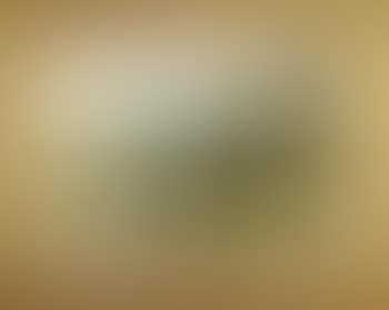 Schweizer Gebirgslandschaft mit am Bach weidenden Kühen (preview)